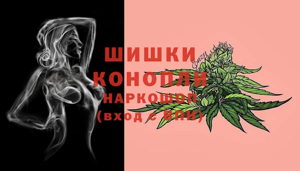 молекула духа Балахна