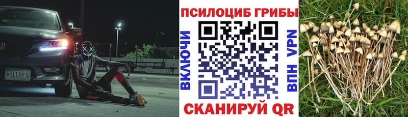 Галлюциногенные грибы мицелий  ОМГ ОМГ tor  Юрьев-Польский 