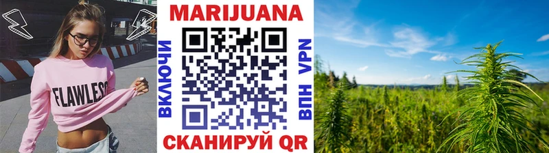Канабис гибрид  Юрьев-Польский 